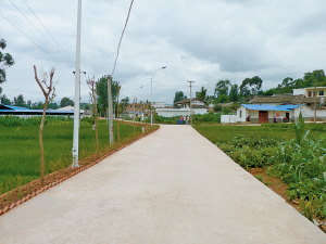 应城市城北街道办事处白杨社区通村公路项目.jpg
