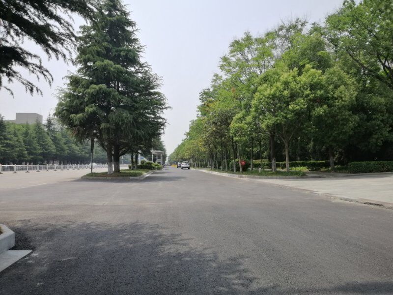 地方VB地方.jpeg